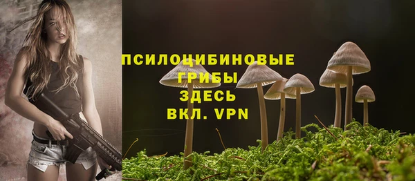 мдпв Бугульма