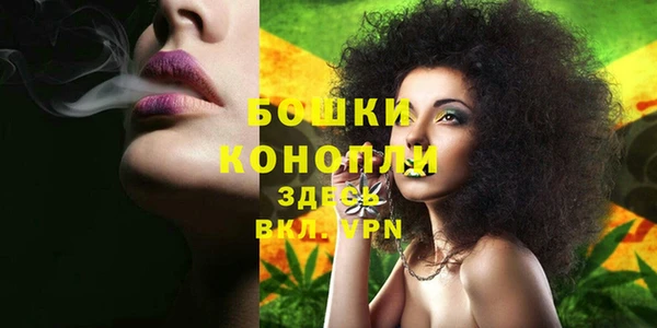 прущая мука Богородицк