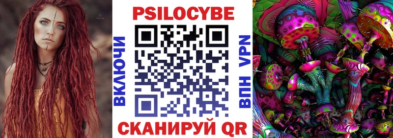 продажа наркотиков  Выборг  Псилоцибиновые грибы Psilocybine cubensis 